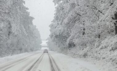 Une image montrant une route enneigée bordée d'arbres recouverts de neige, avec un véhicule circulant prudemment sous une météo hivernale.