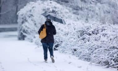 Une personne avec un parapluie marchant dans une nature couverte de neige