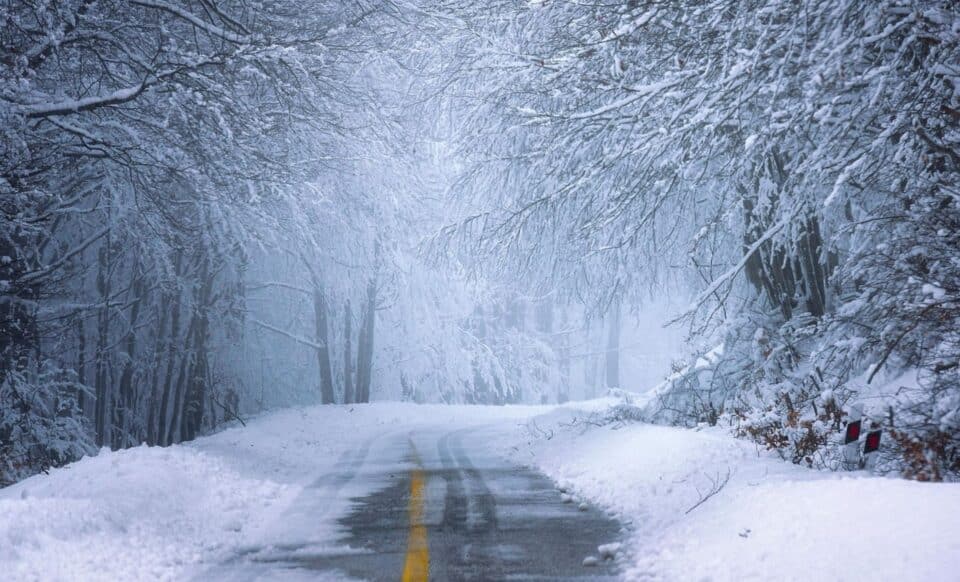 Neige