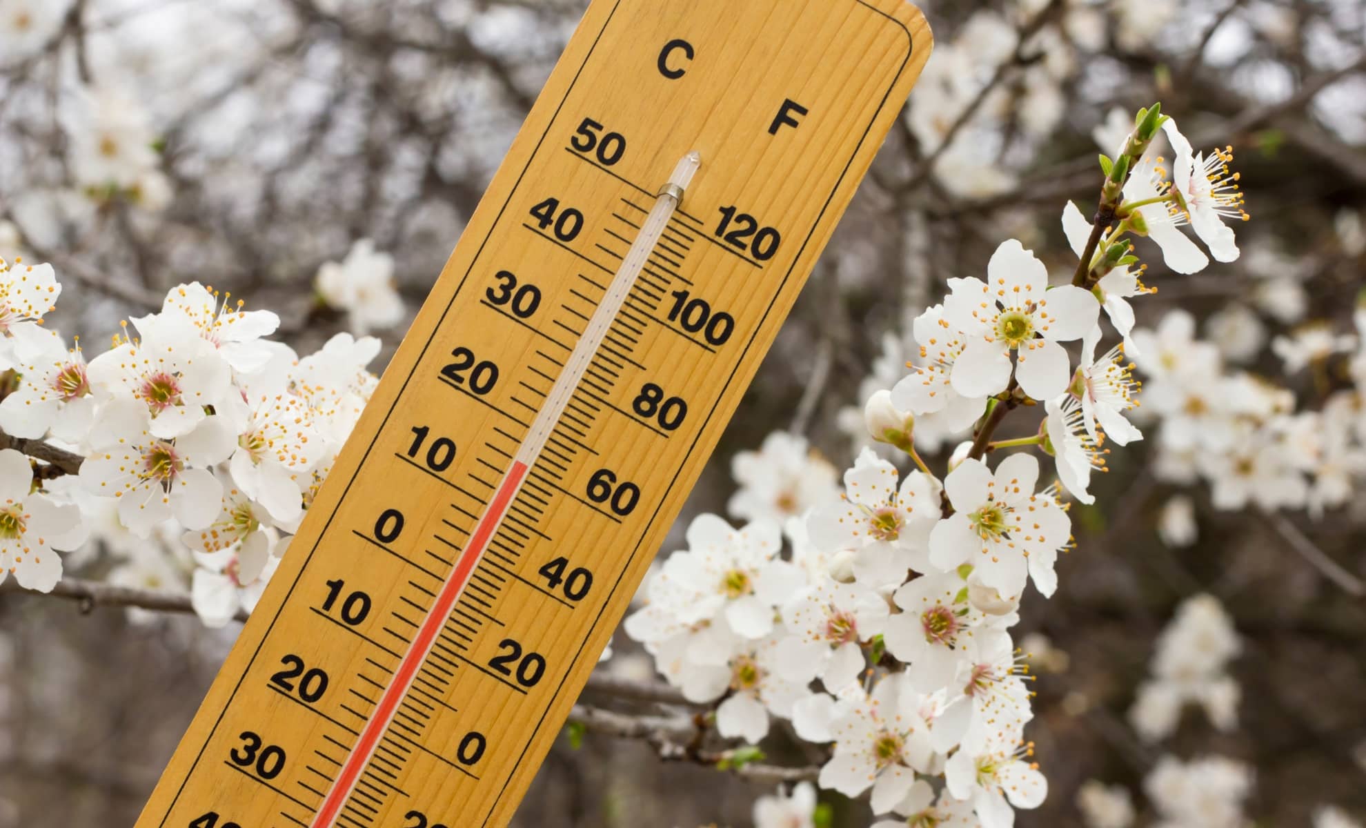 Econostrum.info Météo