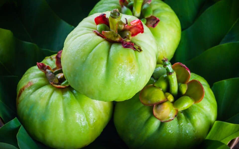 Compléments alimentaires