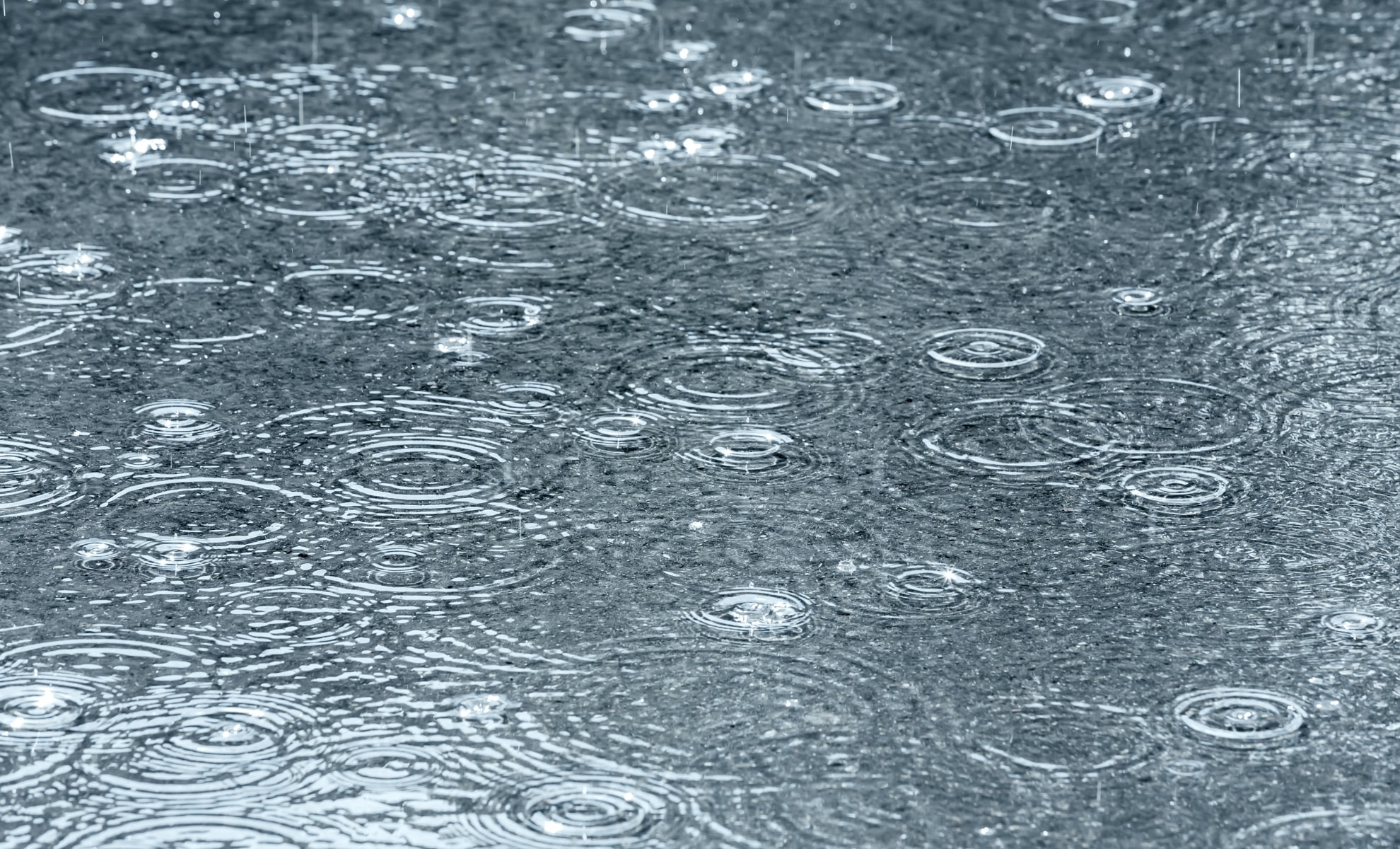 Econostrum.info Météo