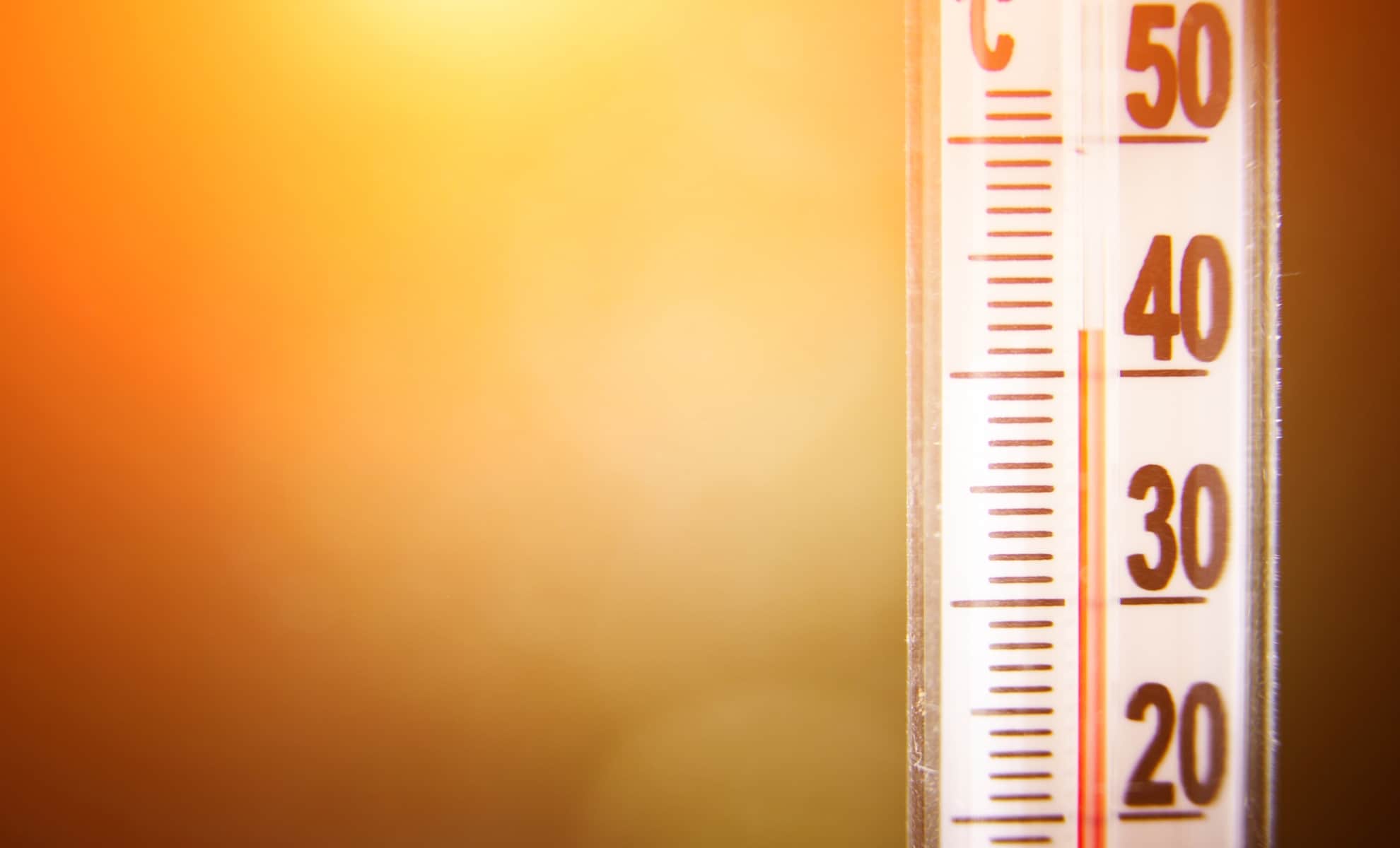 Météo : une semaine de canicule en vue, la France sous un dôme de chaleur