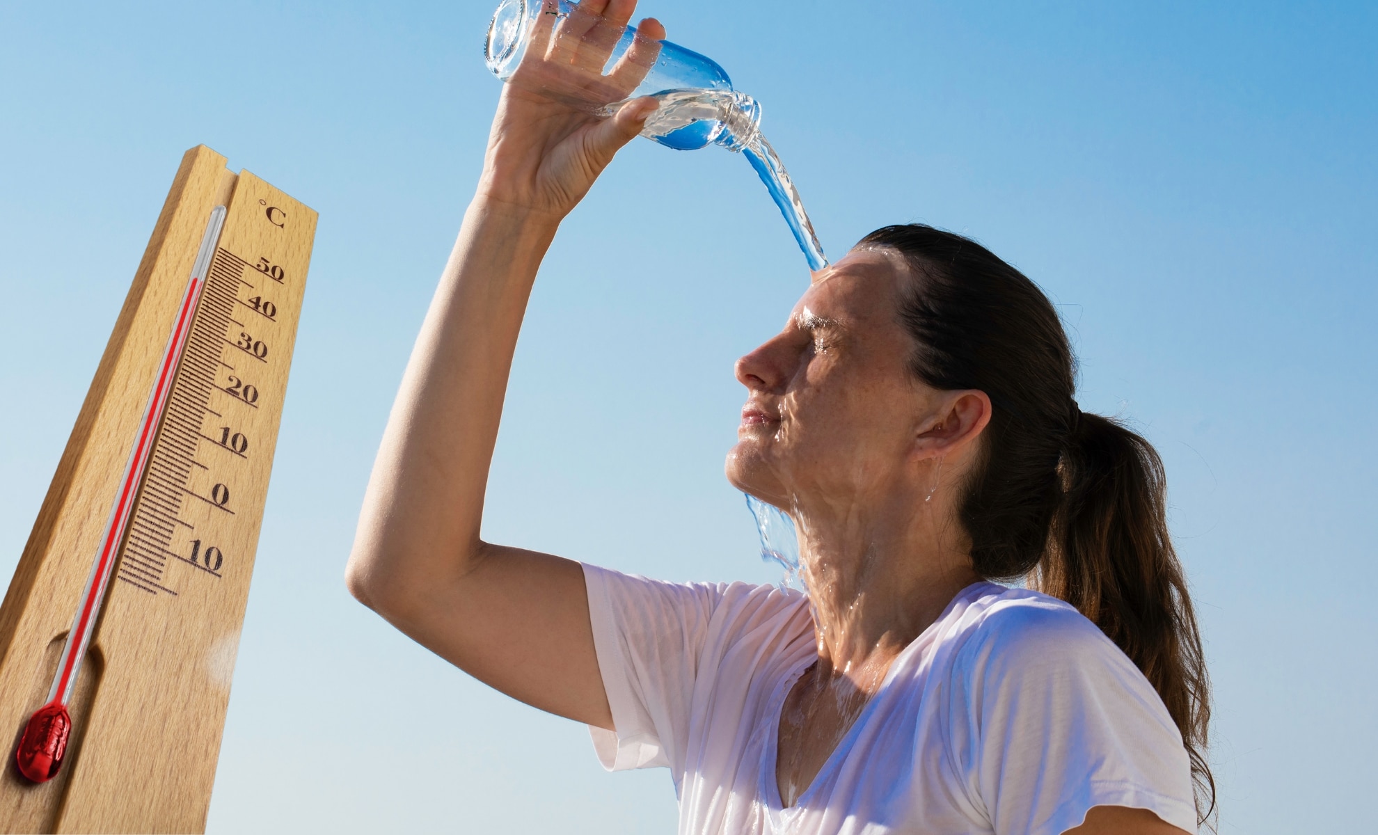 Econostrum.info canicule