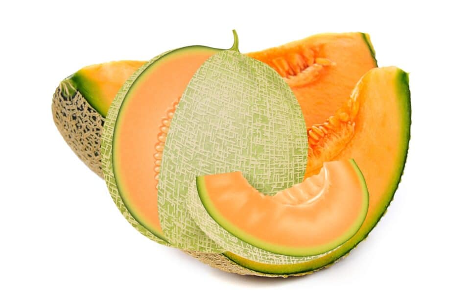 Melon