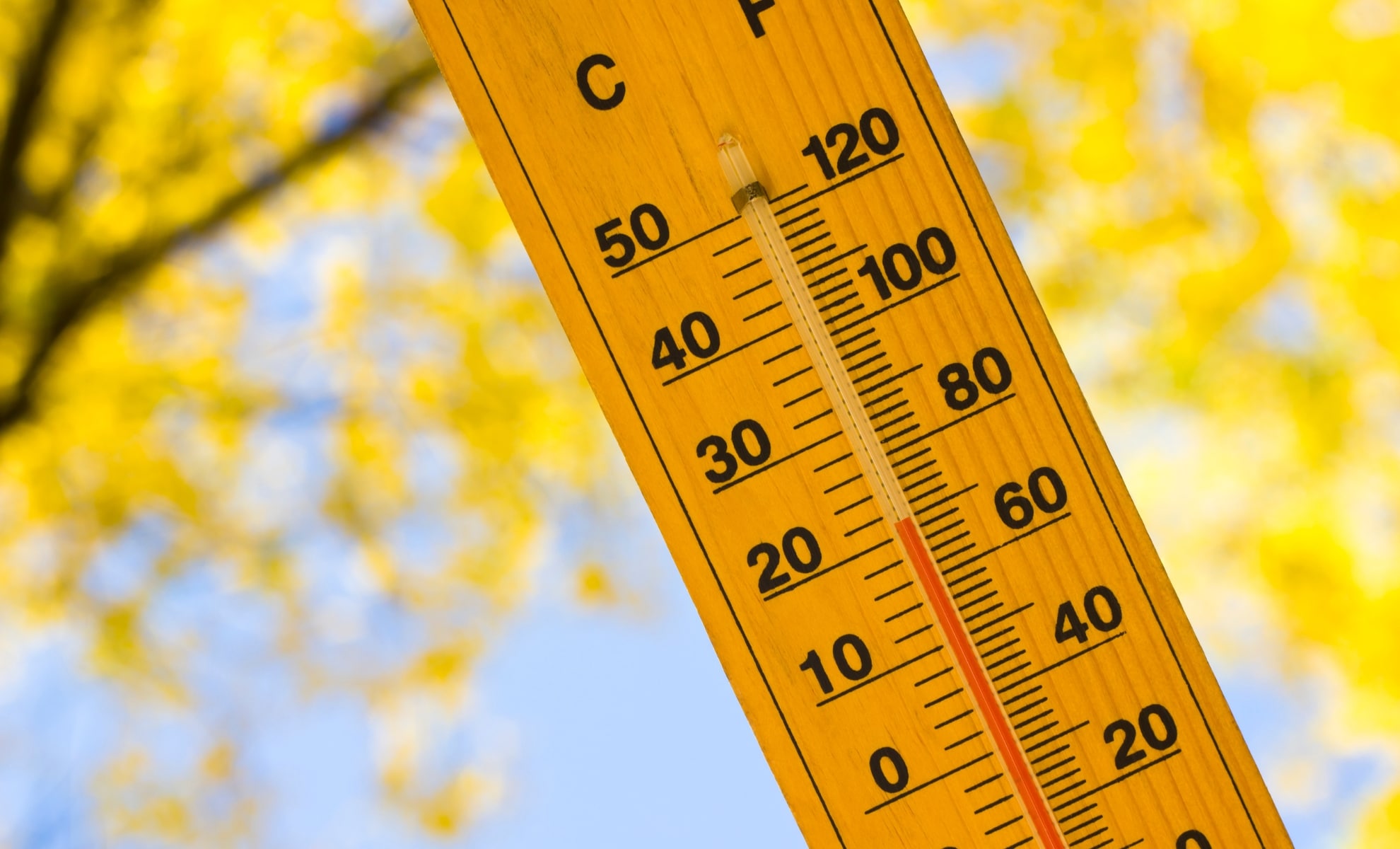 Econostrum.info Météo