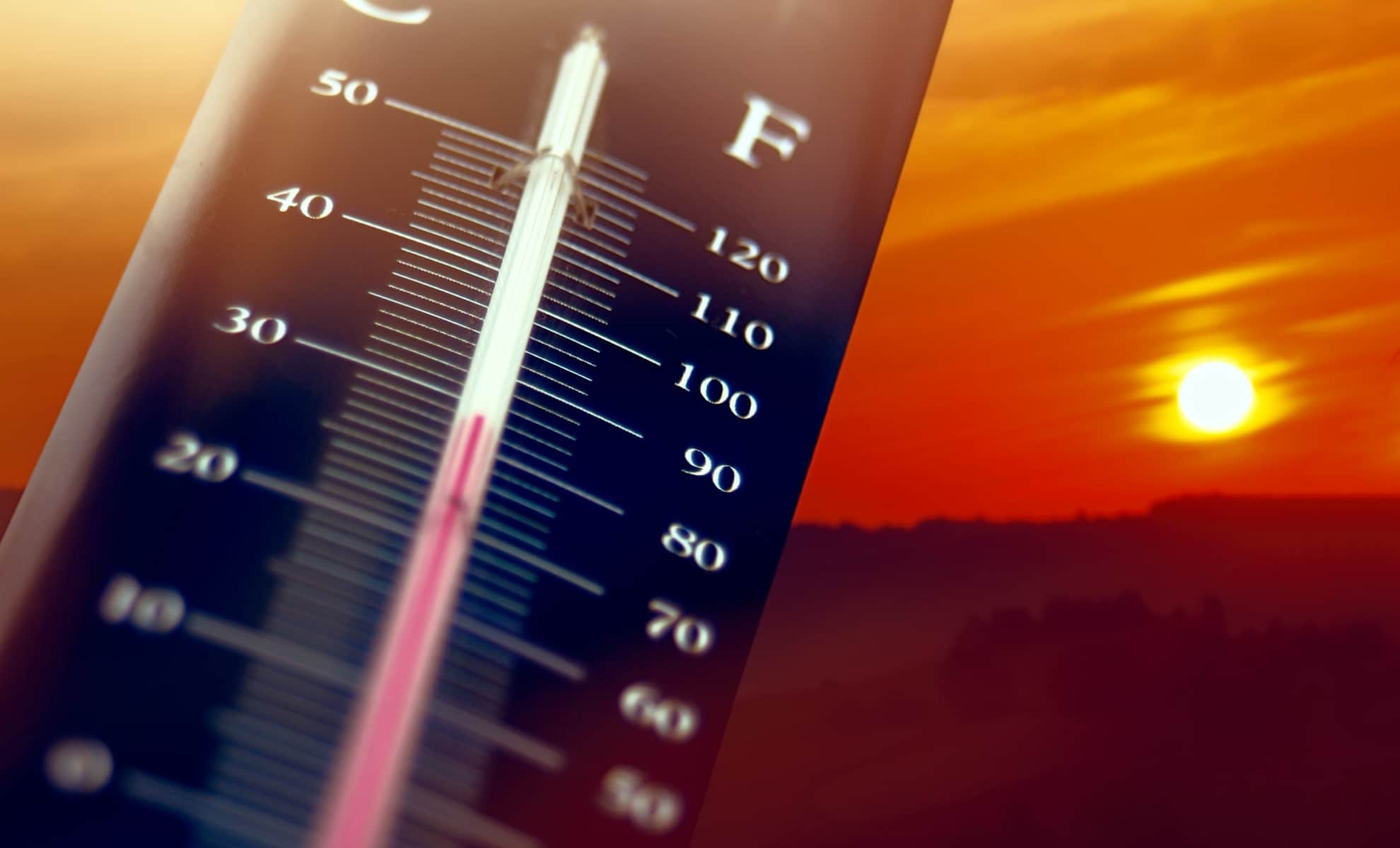 Météo : une nouvelle vague de chaleur fonce sur la France, voici les températures attendues ce vendredi