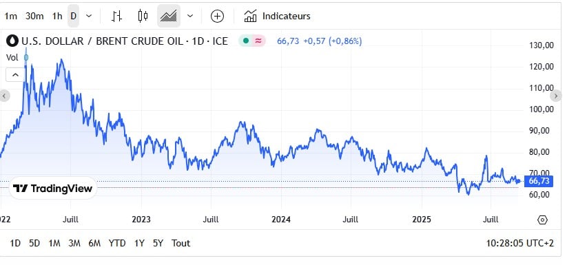 L'Opep+ augmente sa production de pétrole : quel impact sur les carburants, la fiscalité et les billets d'avion en France ? Carburant