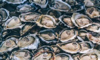 Huîtres