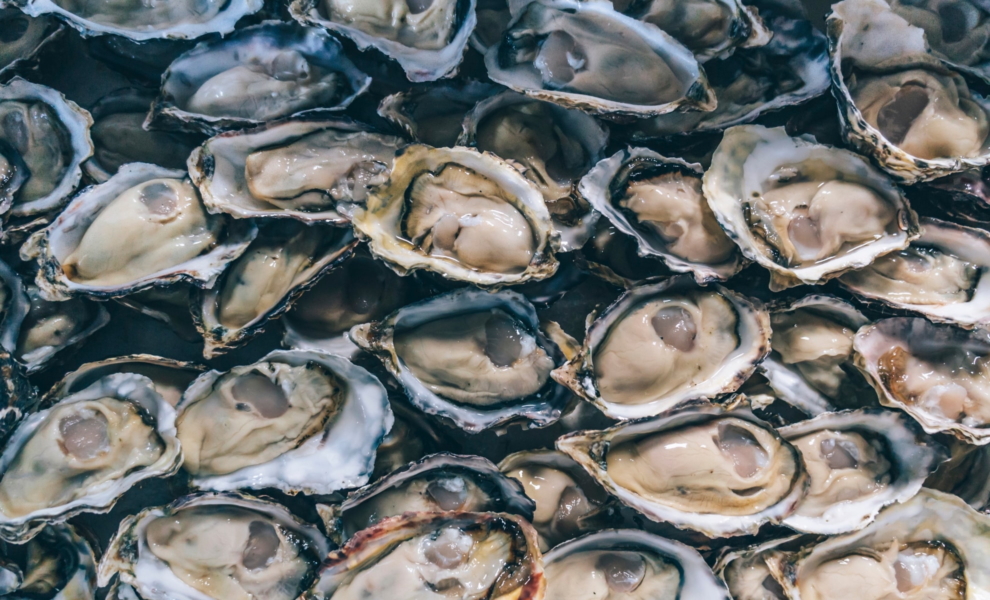 Econostrum.info Huîtres