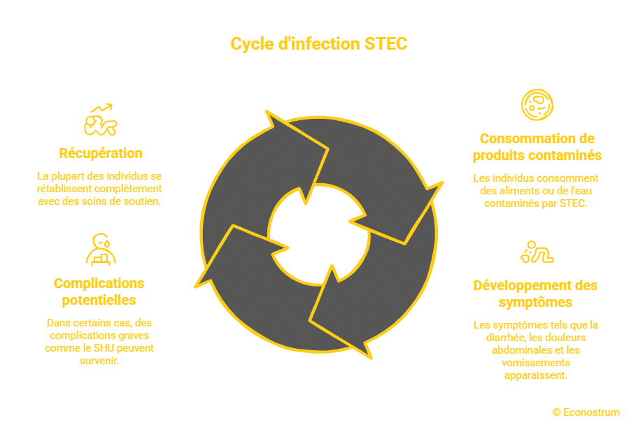 Symptomes infection E.Coli Super U et Intermarché : ces fromages sont contaminés, ne les consommez pas