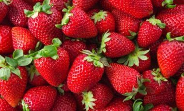 Fraises