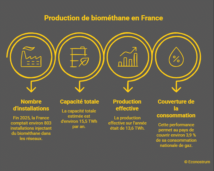 Biométhane production La France devient le premier producteur européen de biométhane et dépasse l'Allemagne le Danemark