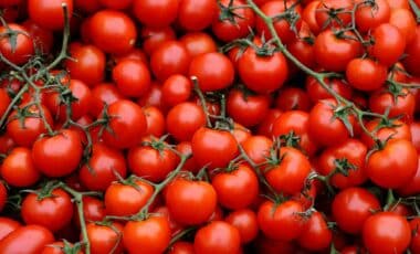 tomate