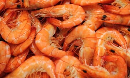 Crevettes
