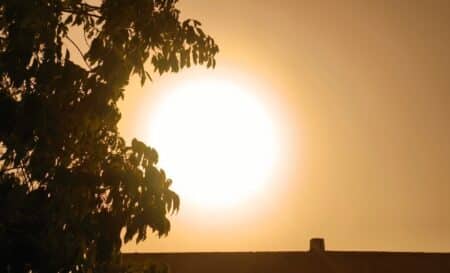canicule
