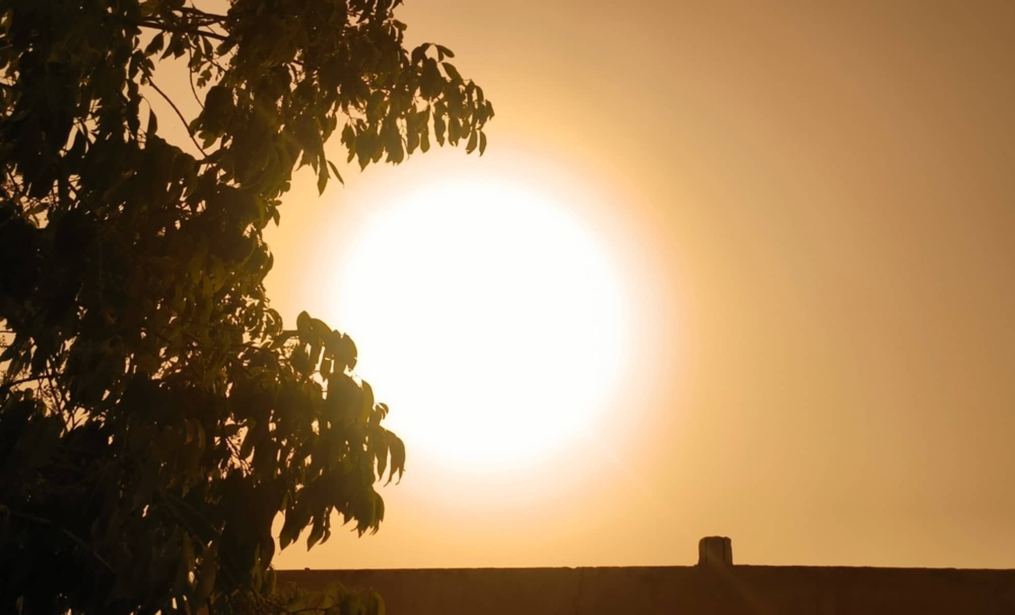 Econostrum.info canicule