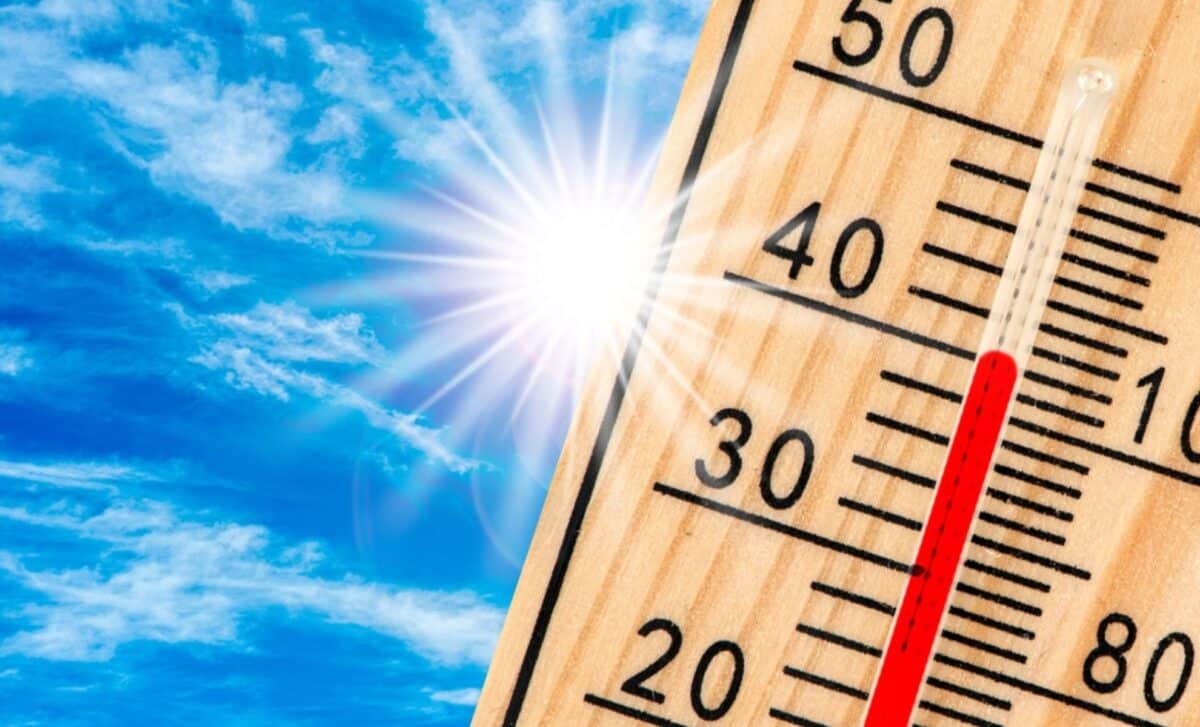 Canicule