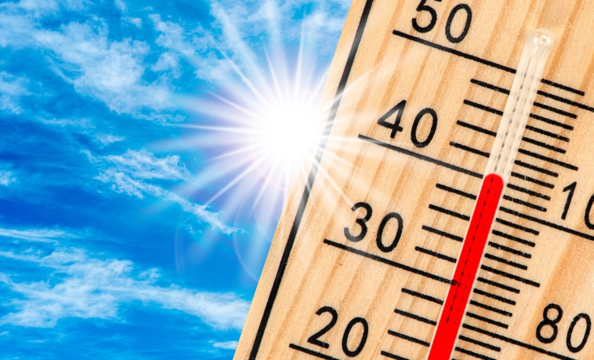 Canicule