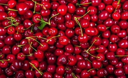 cerise