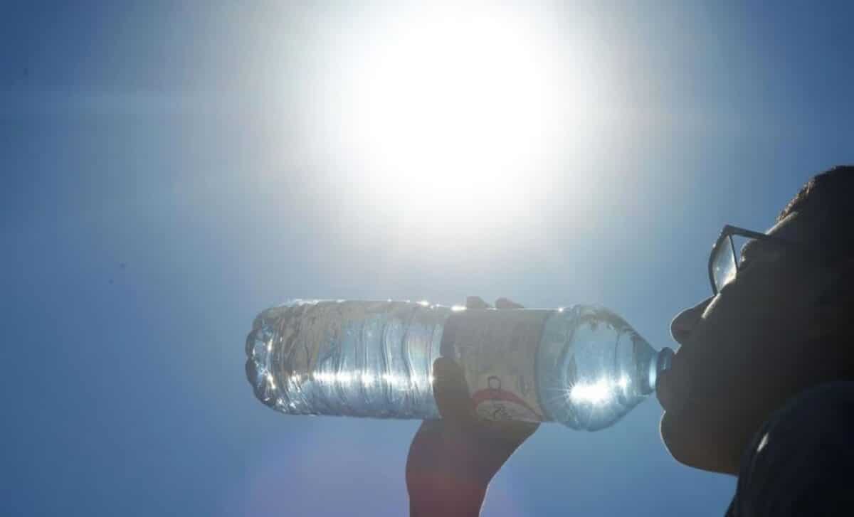 Canicule