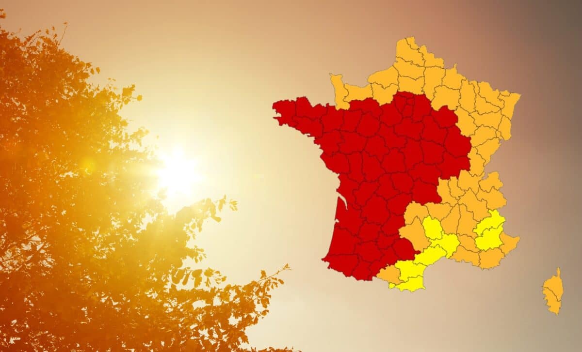 Canicule
