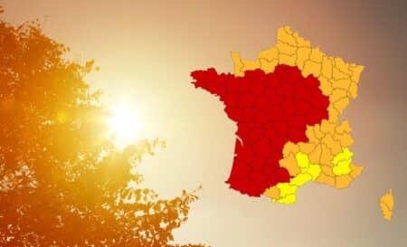 Canicule