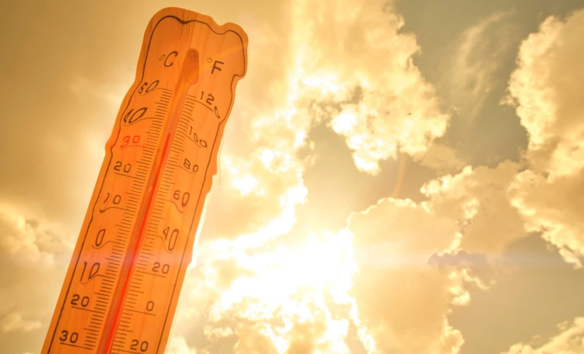 Econostrum.info Canicule