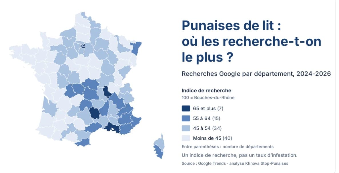 Punaises de lit : ces départements français où l'inquiétude atteint des niveaux particulièrement élevés punaises de lit